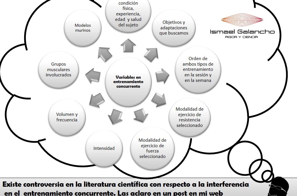 CÓMO COMBINAR ENTRENAMIENTO DE FUERZA CON CARDIO (ENTRENAMIENTO CONCURRENTE)