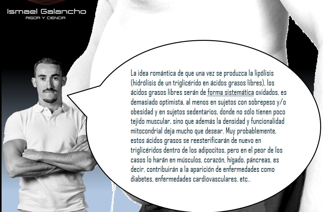 HIDRATOS DE CARBONO E INSULINA ¿CULPABLES DE QUE ENGORDEMOS?