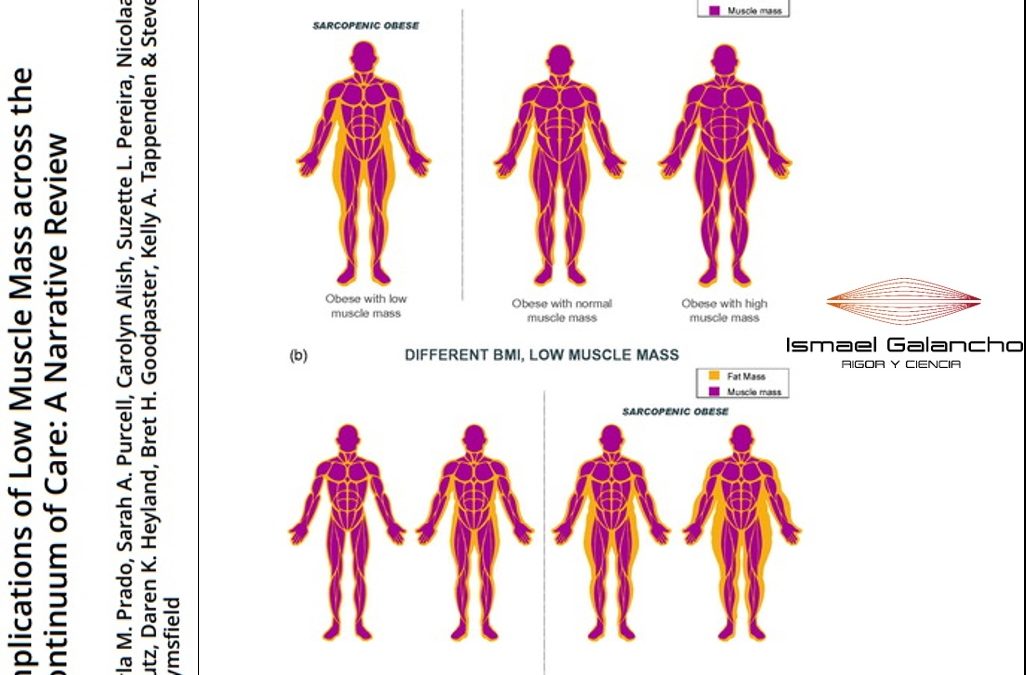 TEJIDO MUSCULAR Y SALUD