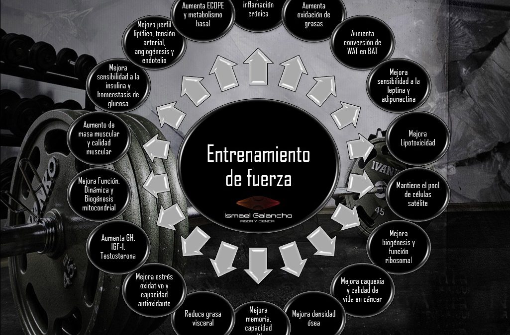 ENTRENAMIENTO DE FUERZA EN LA SALUD