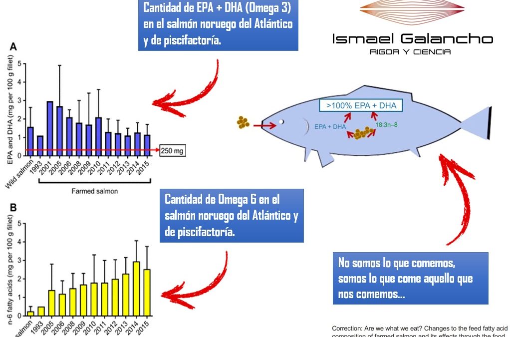 OMEGA 3 Y VITAMINA D EN EL SALMÓN: NO ES ORO TODO LO QUE RELUCE