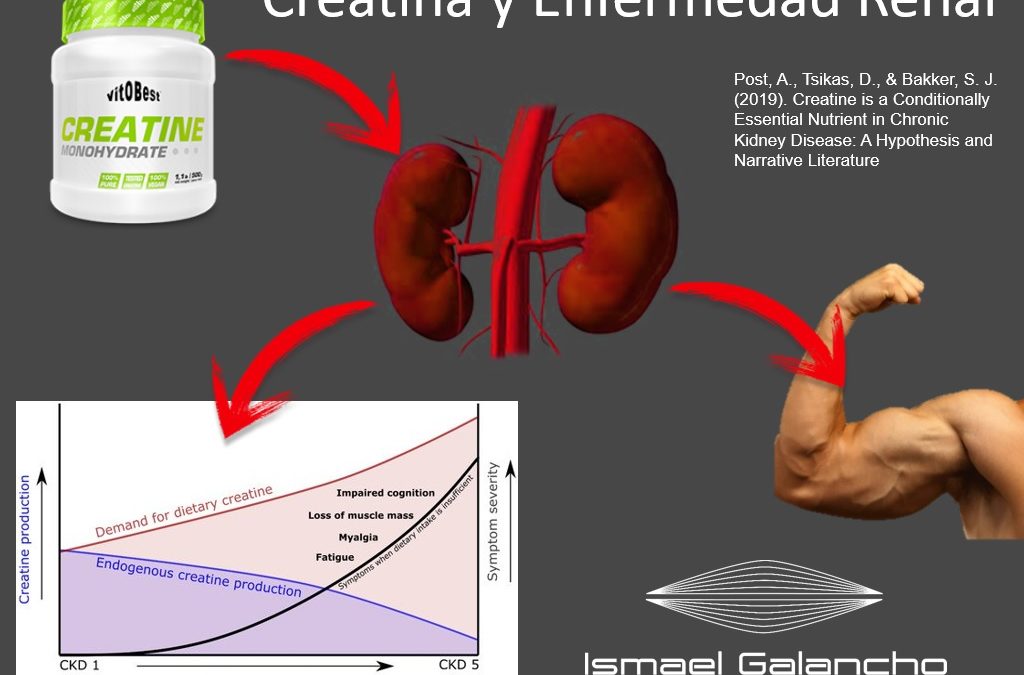 Creatina y Enfermedad Renal
