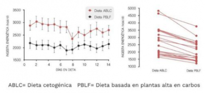 Qu Nutrientes Y Alimentos Sacian M S Grasas Vs Carbohidratos