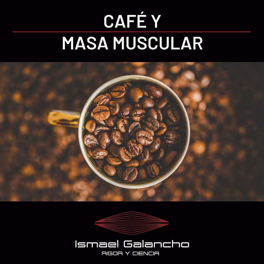 Café y masa muscular