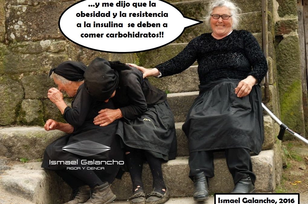 que comer resistencia a la insulina