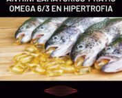 Antiinflamatorios y ratio omega 3/6 en hipertrofia