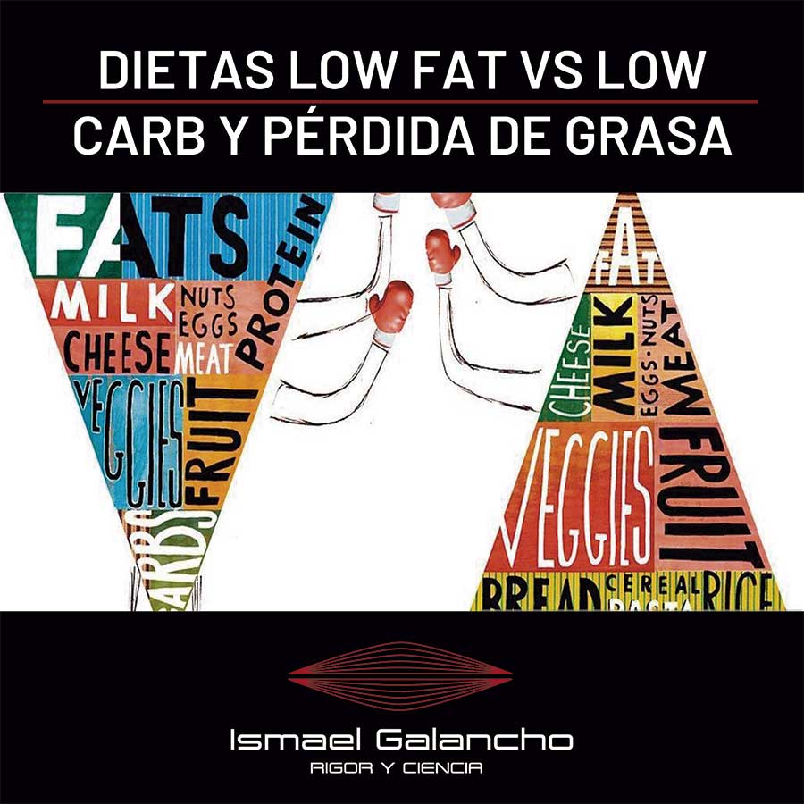 Dietas low fat vs low carb y pérdida de grasa