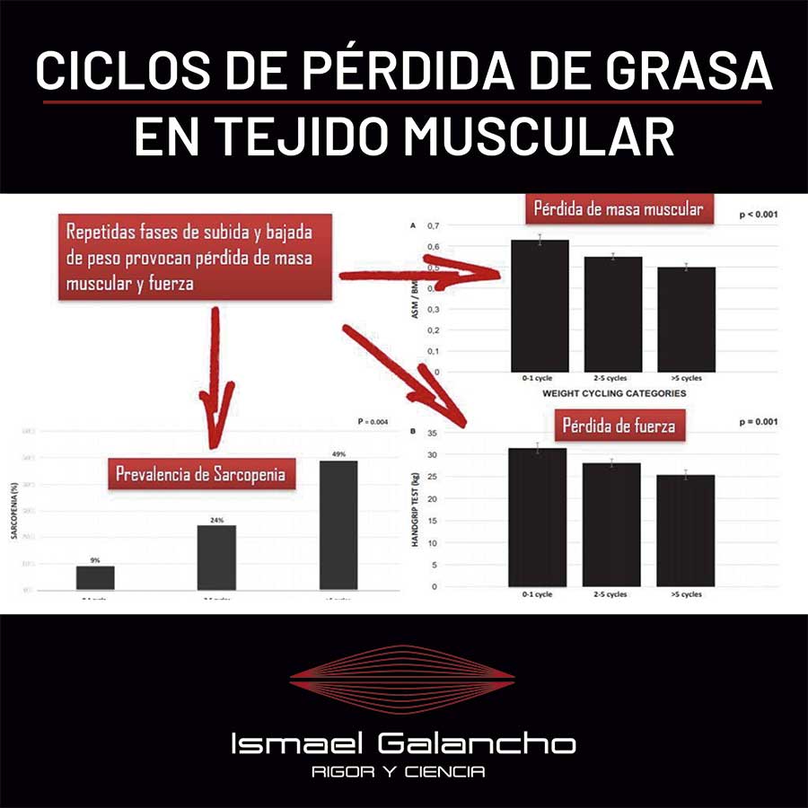 Ciclos de pérdida de grasa en tejido muscular