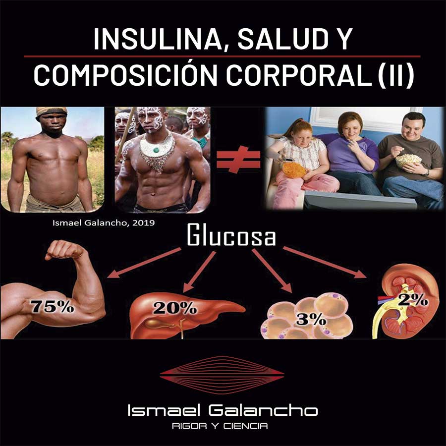 Insulina, salud y composición corporal (II)