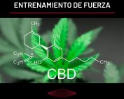 Fibromialgia: CBD (Cannabidiol) y entrenamiento de fuerza