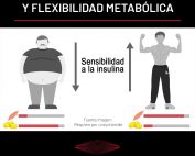 Resistencia a la insulina y flexibilidad metabólica