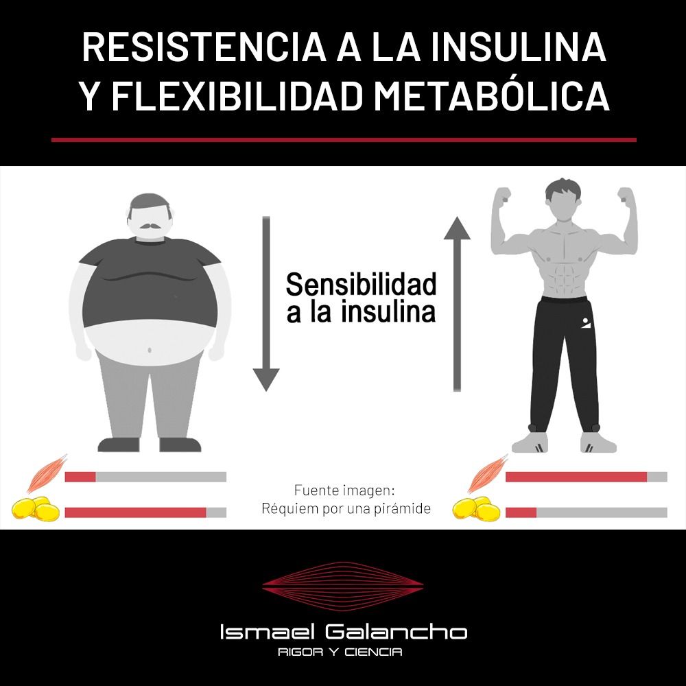 Resistencia a la insulina y flexibilidad metabólica