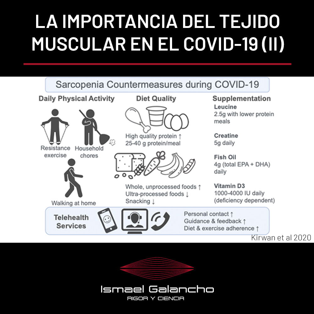 La importancia del tejido muscular en la pandemia del covid-19 (Parte II)