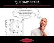 Comida post-entreno para "quemar" grasa