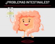 Creatina: ¿problemas intestinales?
