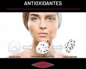 ESTRÉS OXIDATIVO Y ANTIOXIDANTES