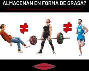 ¿Los carbohidratos se almacenan en forma de grasa?