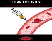 ¿Las megadosis de vitamina c son antioxidantes?