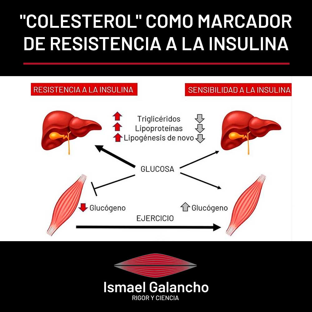 Colesterol como marcador de resistencia a la insulina