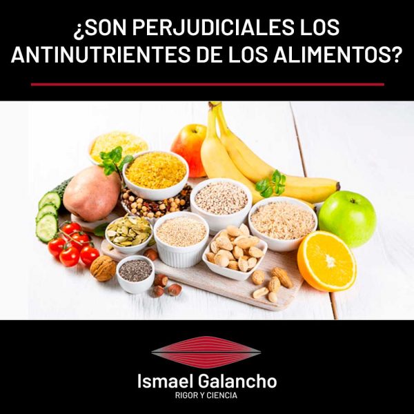 ¿Son Perjudiciales Los Antinutrientes De Los Alimentos?