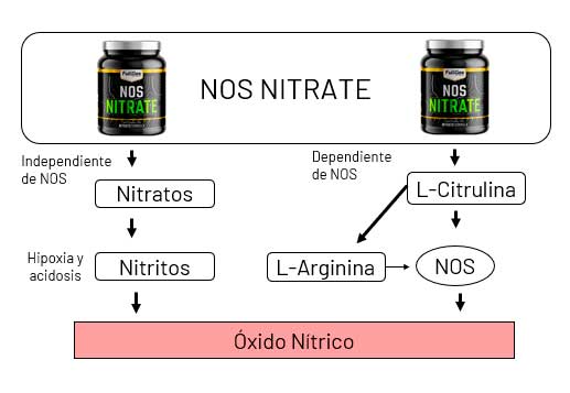 INfografía Suplmentación Nos Nitrate de FullGas