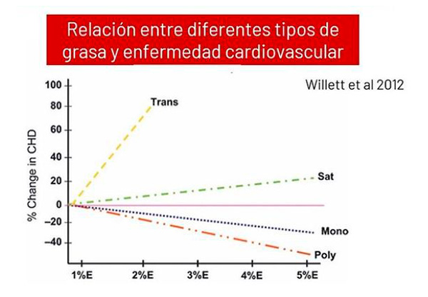 Relación entre tipos de grasa y enfermedad cardiovascular