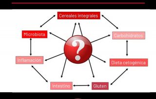 Dogmas sobre alimentación y microbiota