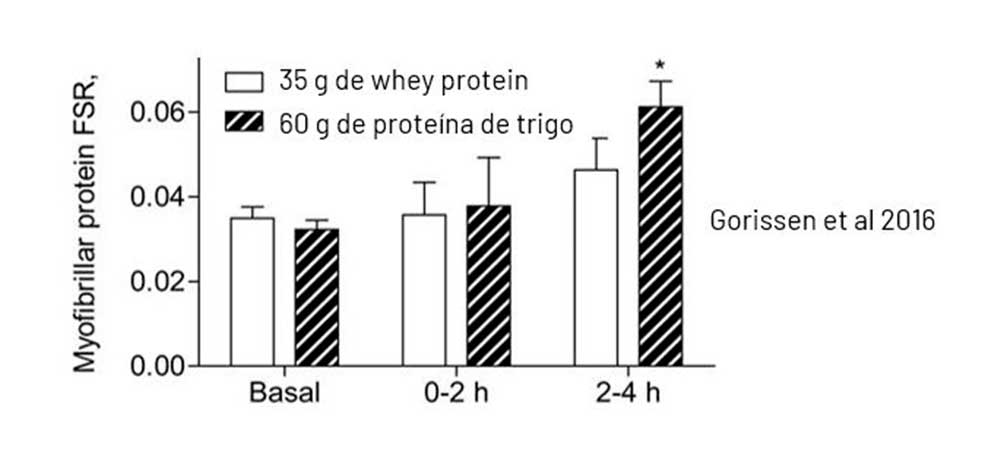 Gráfica Vegan Protein FullGas