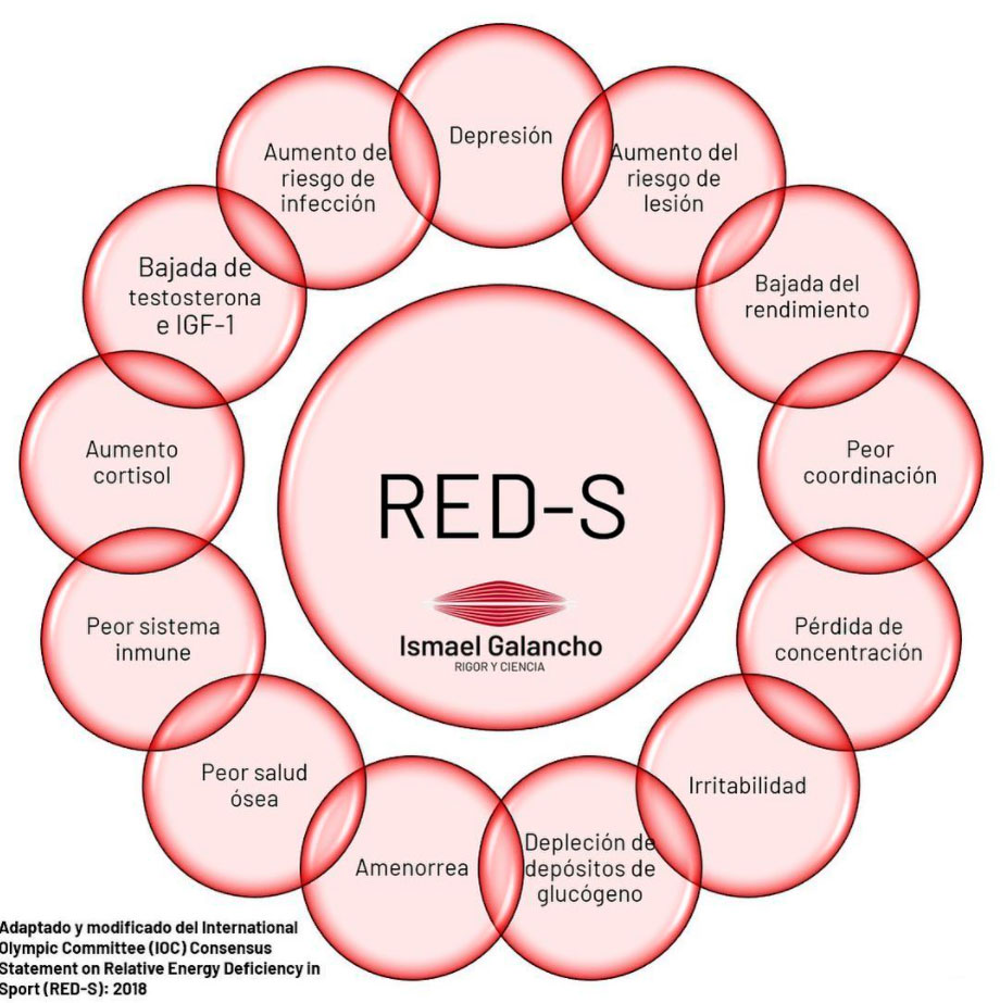 RED-S Gráfica