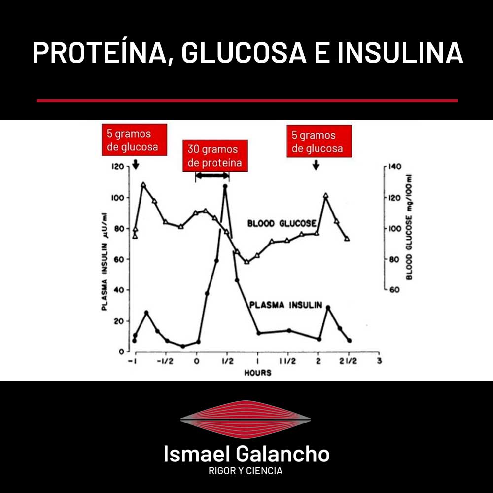 Proteína, glucosa e insulina