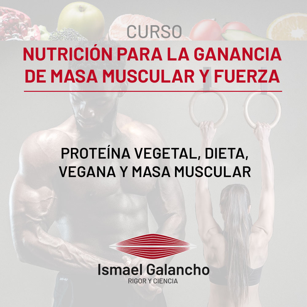 13 ProteÍna Vegetal Dieta Vegana Y Masa Muscular Ismael Galancho 5844
