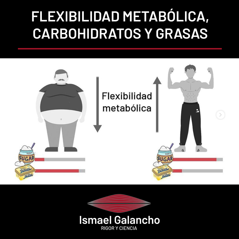 Flexibilidad metabólica: carbohidratos y grasas