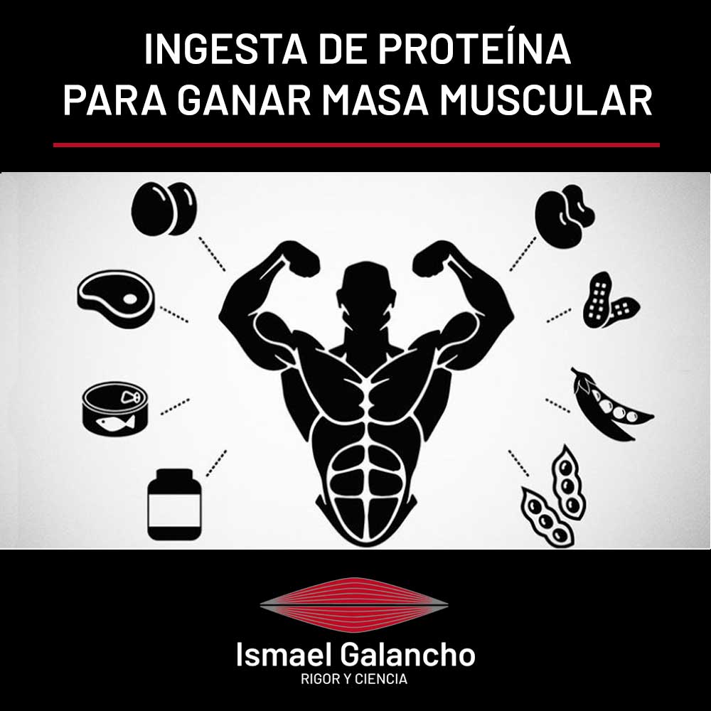 Ingesta de proteína para ganar masa muscular | Ismael Galancho