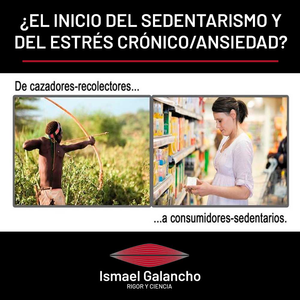 El inicio del sedentarismo y del estrés crónico/ansiedad | Ismael Galancho