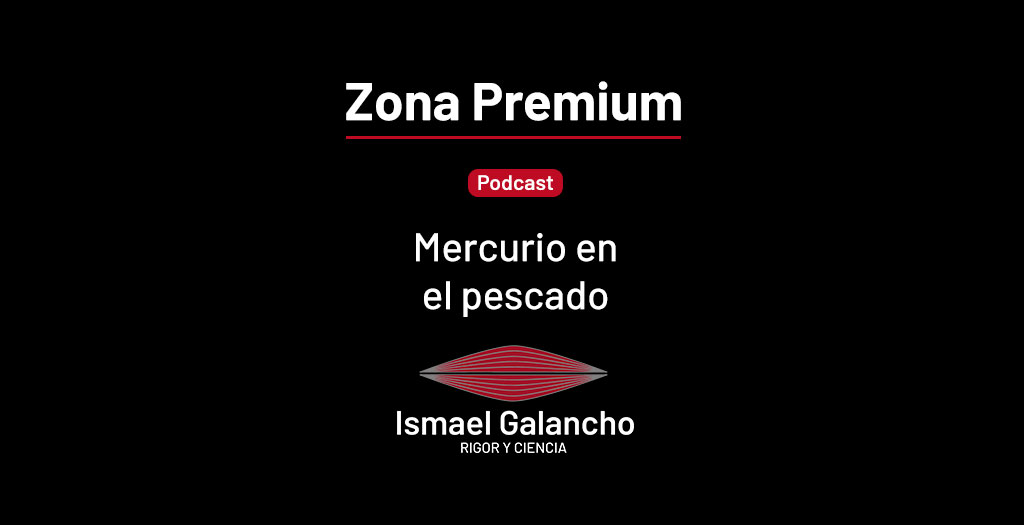 Podcast: Mercurio en el pescado | Ismael Galancho