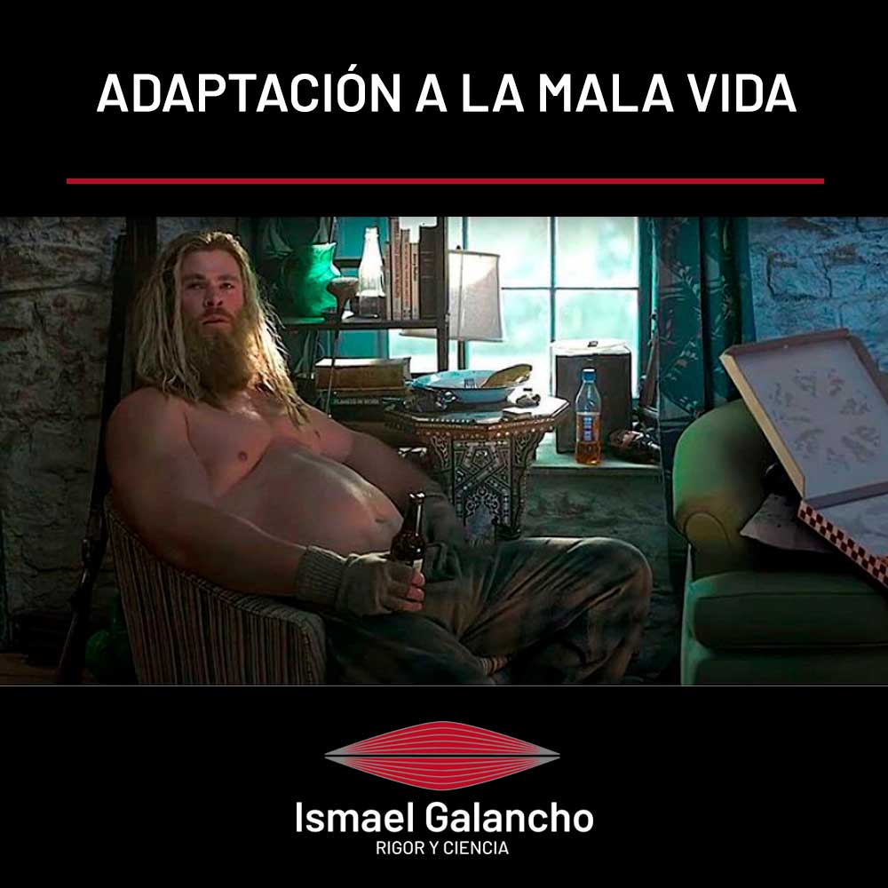 Adaptación a la mala vida | Ismael Galancho