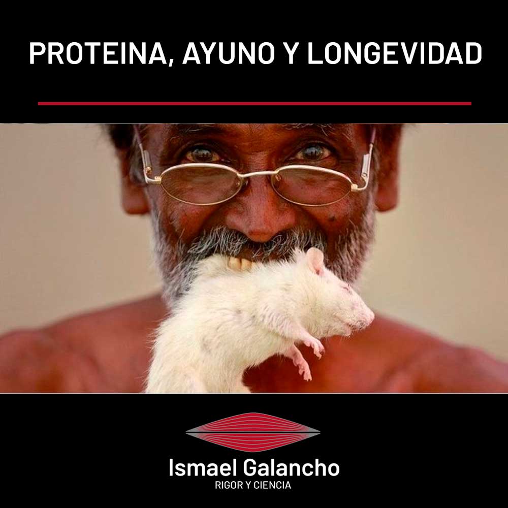 Proteína, ayuno y longevidad | Ismael Galancho