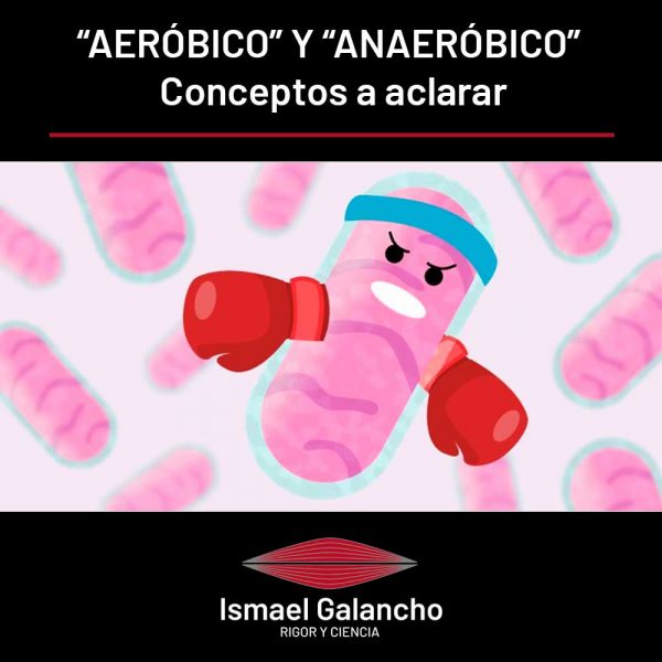Aeróbico y anaeróbico, conceptos a aclarar Ismael Galancho