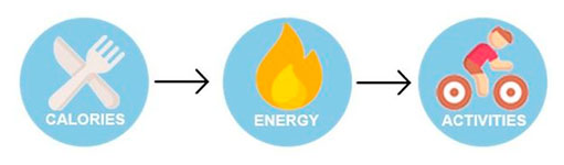 Calorías y energía: el paradigma que no se entiende