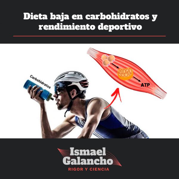 Dieta Baja En Carbohidratos Y Rendimiento Deportivo 5849