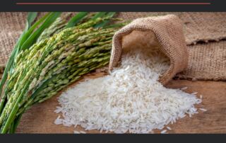 Arsénico en arroz: ¿Es peligroso? ¿Cómo eliminarlo?