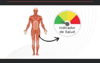 El músculo como indicador de salud