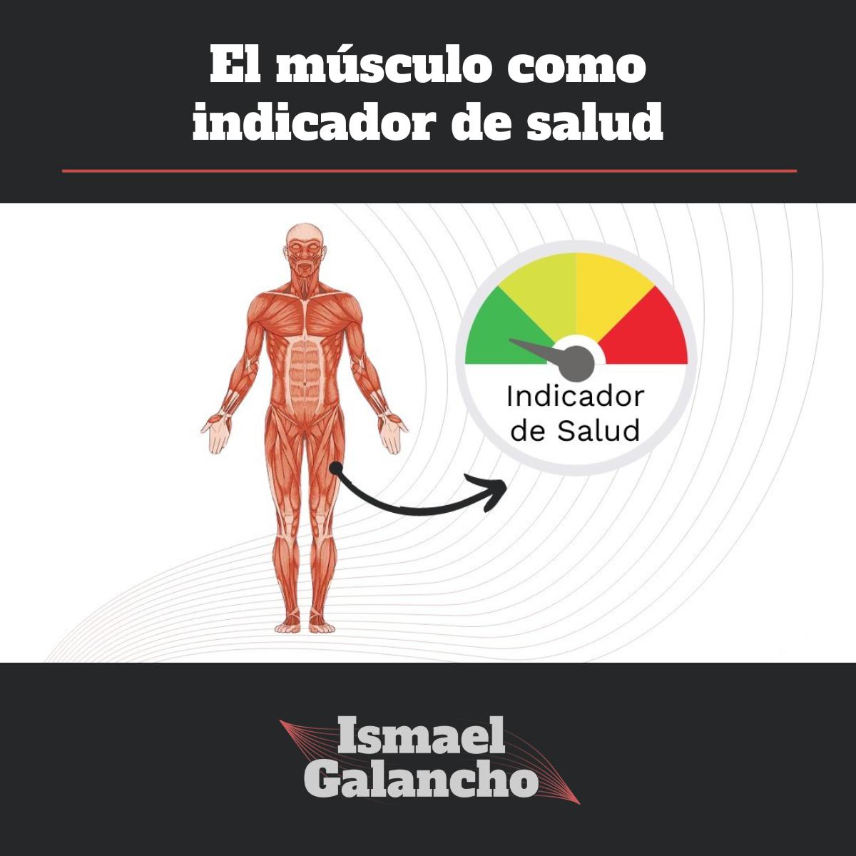 El músculo como indicador de salud