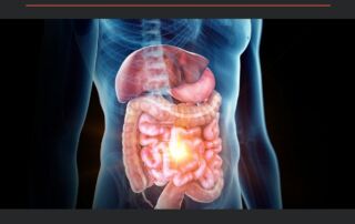 Permeabilidad intestinal