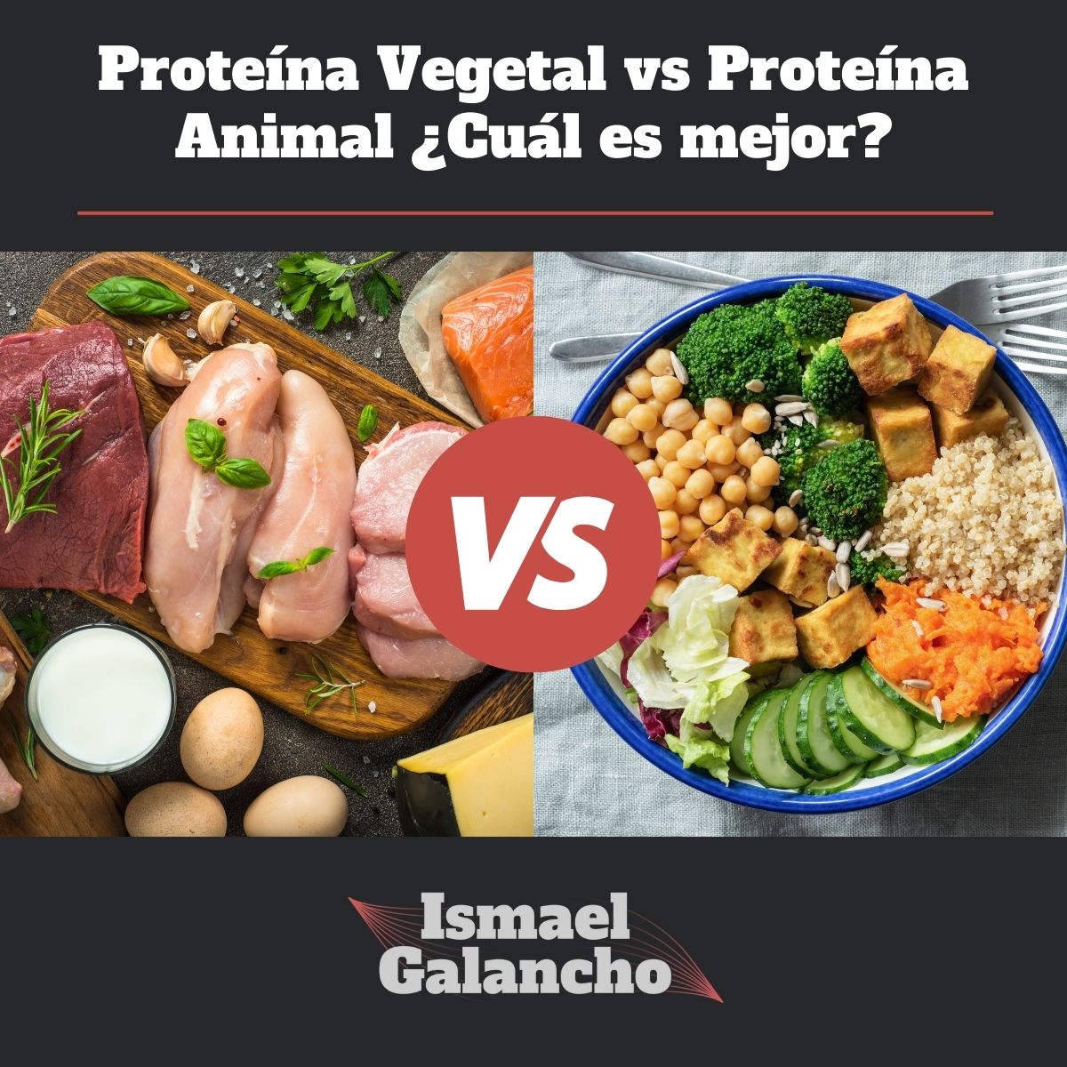 Proteina origen animal vs vegetal Ismael Galancho