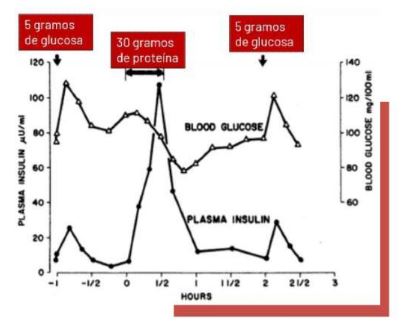 glucosa y proteina