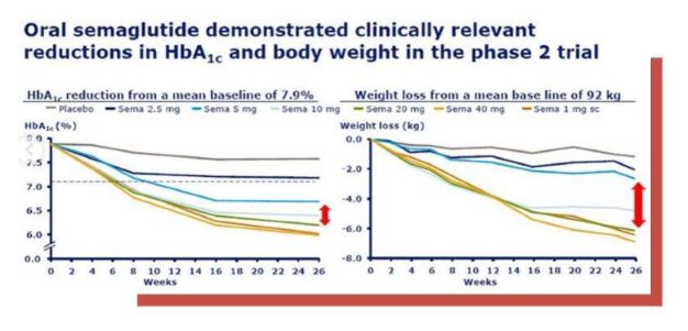 oral semaglutide demonstrated clinically relevant reductions in HbA