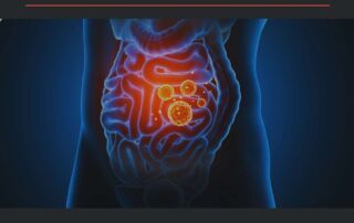 Microbiota Intestinal que es Artículo Blog Ismael Galancho