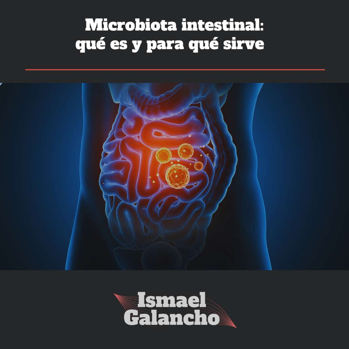 Microbiota Intestinal que es Artículo Blog Ismael Galancho