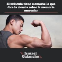 El músculo tiene memoria lo que dice la ciencia sobre la memoria muscular